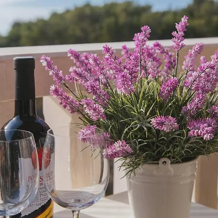 Apartment Dubrovnik Makarska